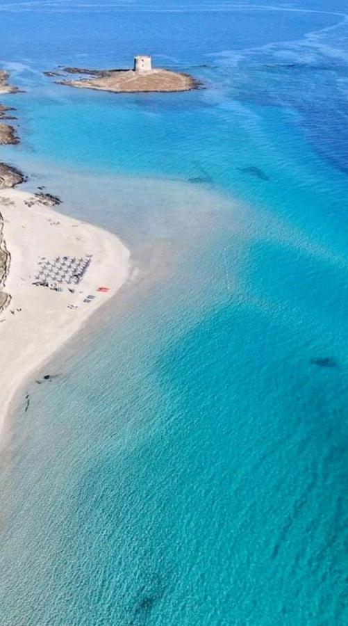 فيلا Maria Antonietta House بورتو توريس المظهر الخارجي الصورة